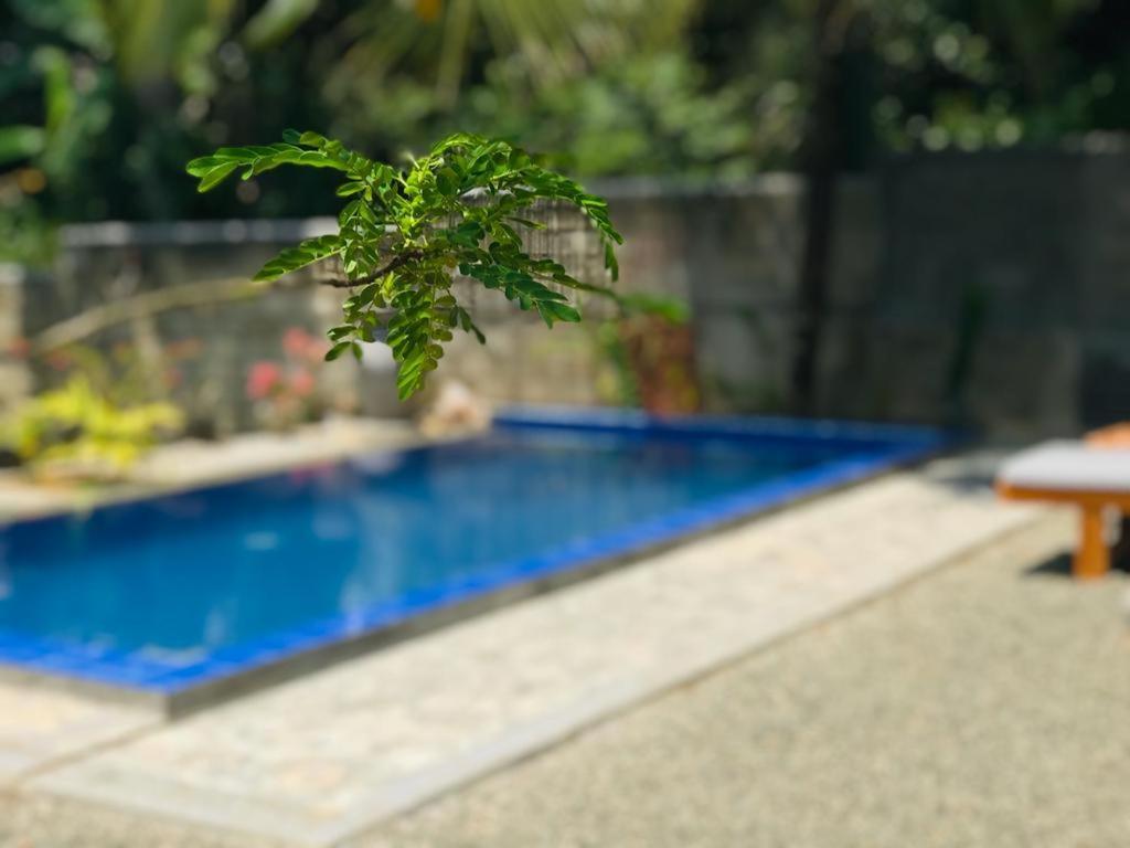 Peaceful Green Villa Unawatuna Eksteriør billede